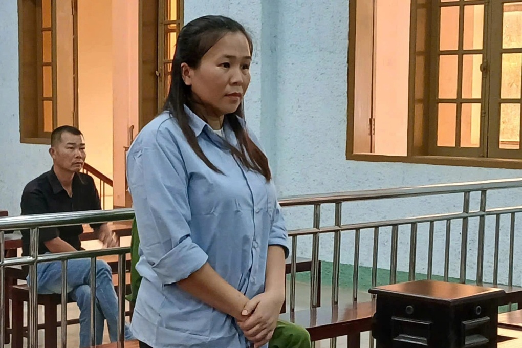 Nữ kế toán trưởng thụt két hơn 200 triệu đồng của công ty để tiêu xài - 1 Nữ kế toán trưởng thụt két hơn 200 triệu đồng của công ty để tiêu xài - 1