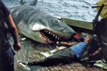 Một số bức ảnh lần đầu công bố về phim trường “Hàm cá mập”