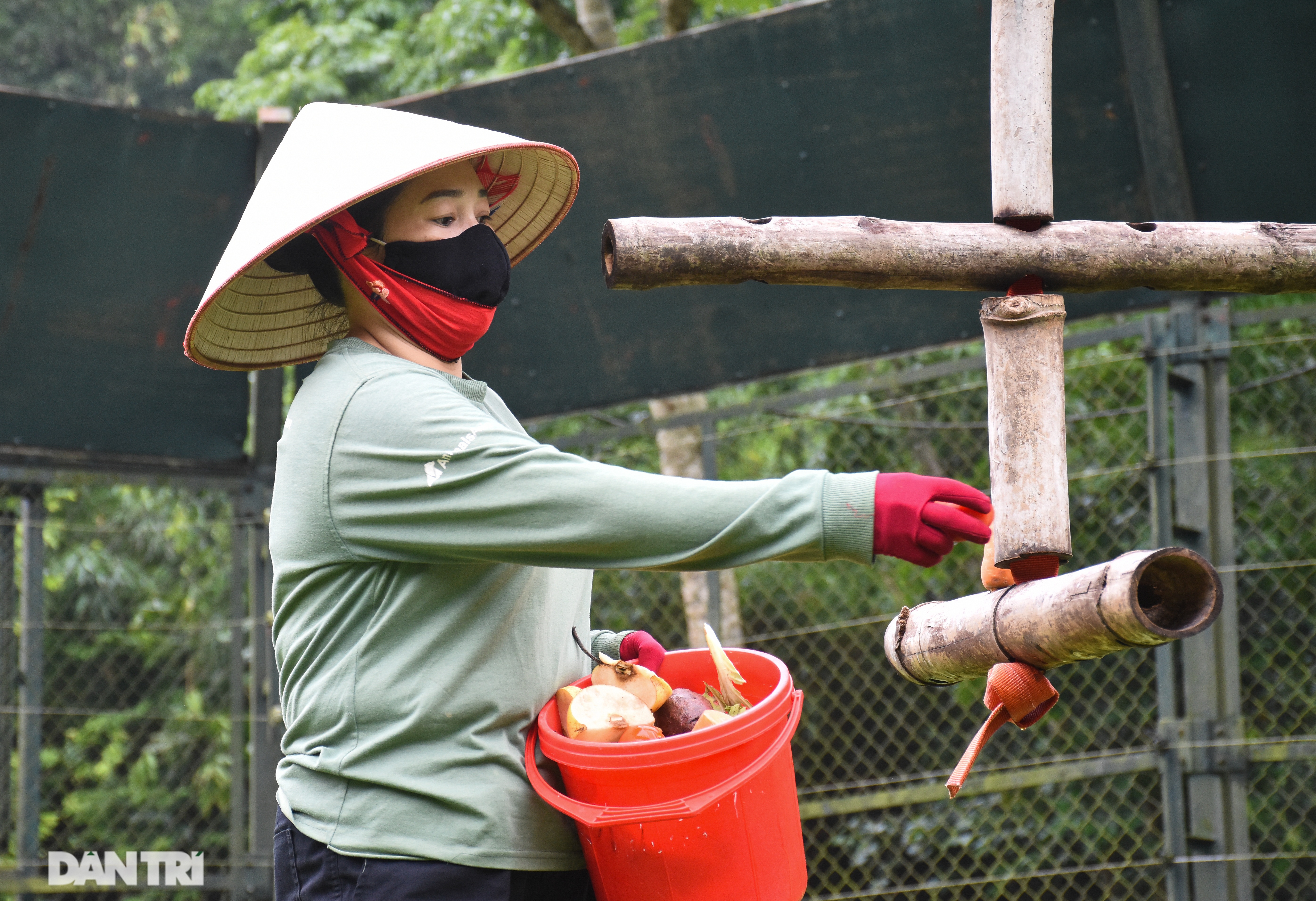 Cuộc sống ít người biết của gần 200 chú gấu tại thung lũng Chắt Dậu - 13 Cuộc sống ít người biết của gần 200 chú gấu tại thung lũng Chắt Dậu - 13