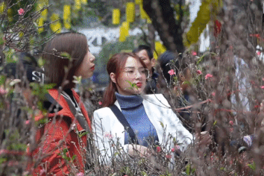 Phố hoa Hàng Lược đông vui tấp nập người mua sắm ngày áp Tết