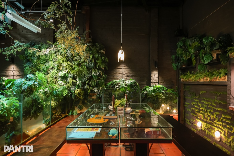 المقهى يشبه غابة صغيرة في وسط هانوي، وطاولة الشرب عبارة عن حوض سمك - 3 Quán cà phê như khu rừng nhỏ giữa phố Hà Nội, bàn uống nước là bể cá - 3
