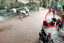 Kinh hoàng khoảnh khắc người đàn ông bị trăn lớn cắn vào mặt