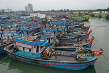 Bão Noru có thể đánh chìm tất cả các tàu thuyền, kể cả tàu trọng tải lớn