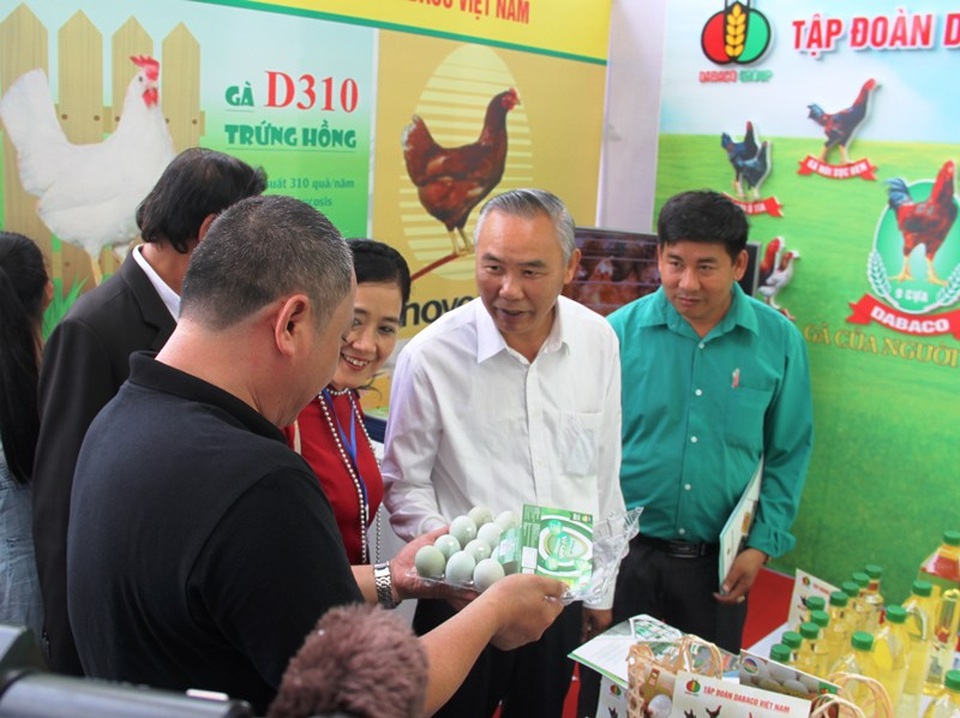 Chuyên gia hiến kế đưa gà ta xuất ngoại - 2 Chuyên gia hiến kế đưa gà ta xuất ngoại - 2