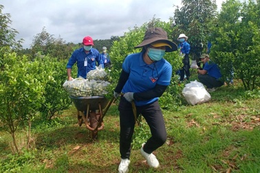 Thanh niên Bình Phước tặng 113 tấn thực phẩm đến TPHCM, Bình Dương