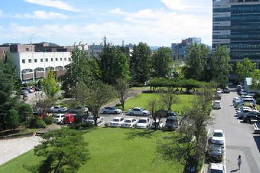 Ngày hội “Phù Đổng” trên xứ kim chi