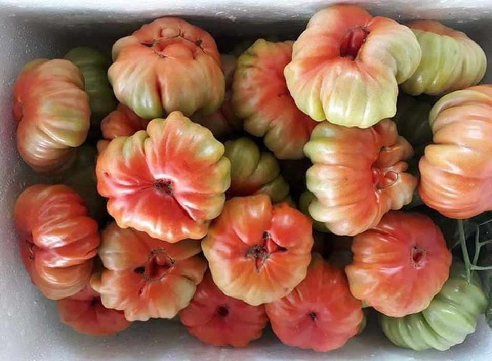 Chán rau quả nhập khẩu, dân Việt săn lùng đồ rừng độc lạ thưởng thức - 1 Chán rau quả nhập khẩu, dân Việt săn lùng đồ rừng độc lạ thưởng thức - 1