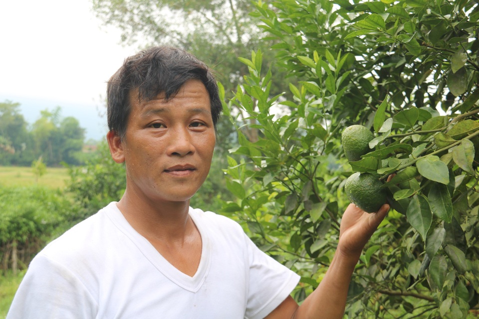 Đôi vợ chồng bỏ phố về quê, làm giàu từ đàn vịt trời - 4 Đôi vợ chồng bỏ phố về quê, làm giàu từ đàn vịt trời - 4