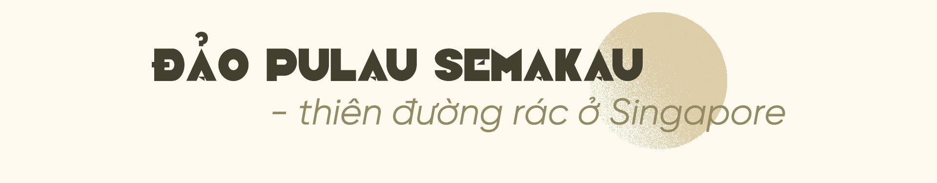 Singapore, Đức và Hàn Quốc đã dập tắt khủng hoảng rác như thế nào? - 1 Singapore, Đức và Hàn Quốc đã dập tắt khủng hoảng rác như thế nào? - 1