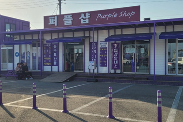 Lạ lùng hòn đảo tím "gây sốt" ở Hàn Quốc