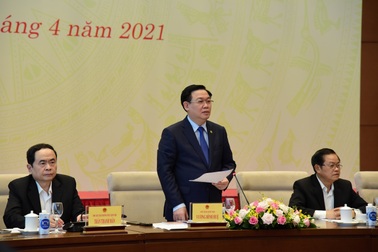 Chủ tịch Quốc hội lần đầu làm việc với đại biểu chuyên trách ở Trung ương