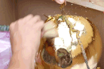 Những sản phẩm trang trí từ quả dừa "cháy hàng" dịp Tết