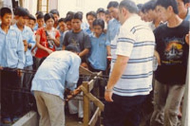 Trung Đông tiếp nhận không hạn chế lao động Việt Nam