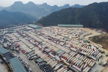 Bộ Nông nghiệp nói gì về việc hàng xuất khẩu "tắc" do chậm được cấp mã?