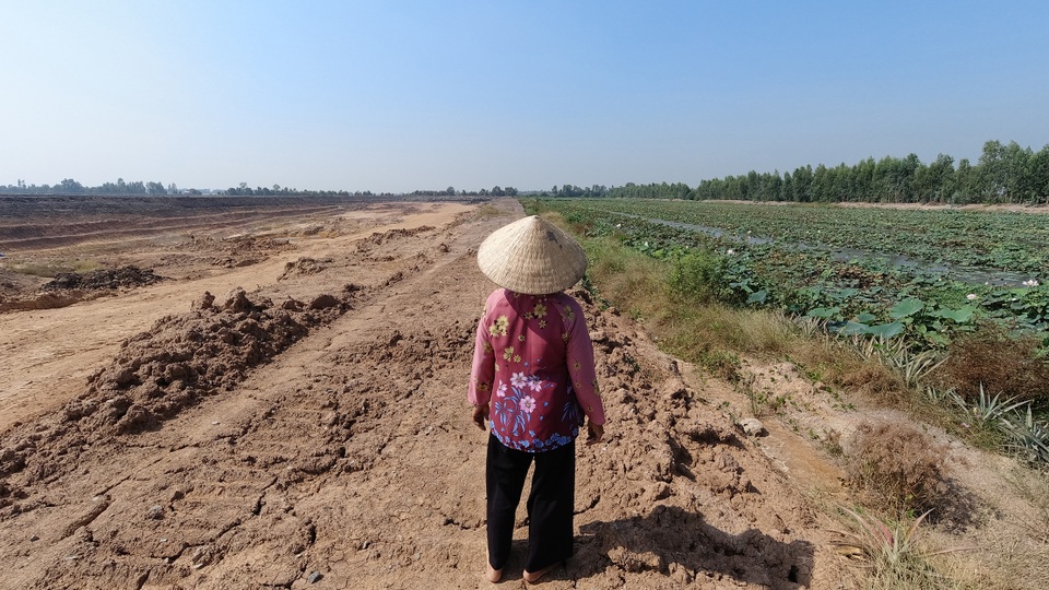 Ruộng lúa chết khô nghi do phèn từ hầm đất khai thác trái phép - 3 Ruộng lúa chết khô nghi do phèn từ hầm đất khai thác trái phép - 3