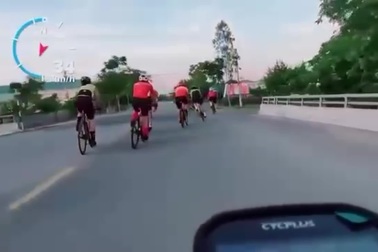 Bò thả rông gây tai nạn cho người đi xe đạp