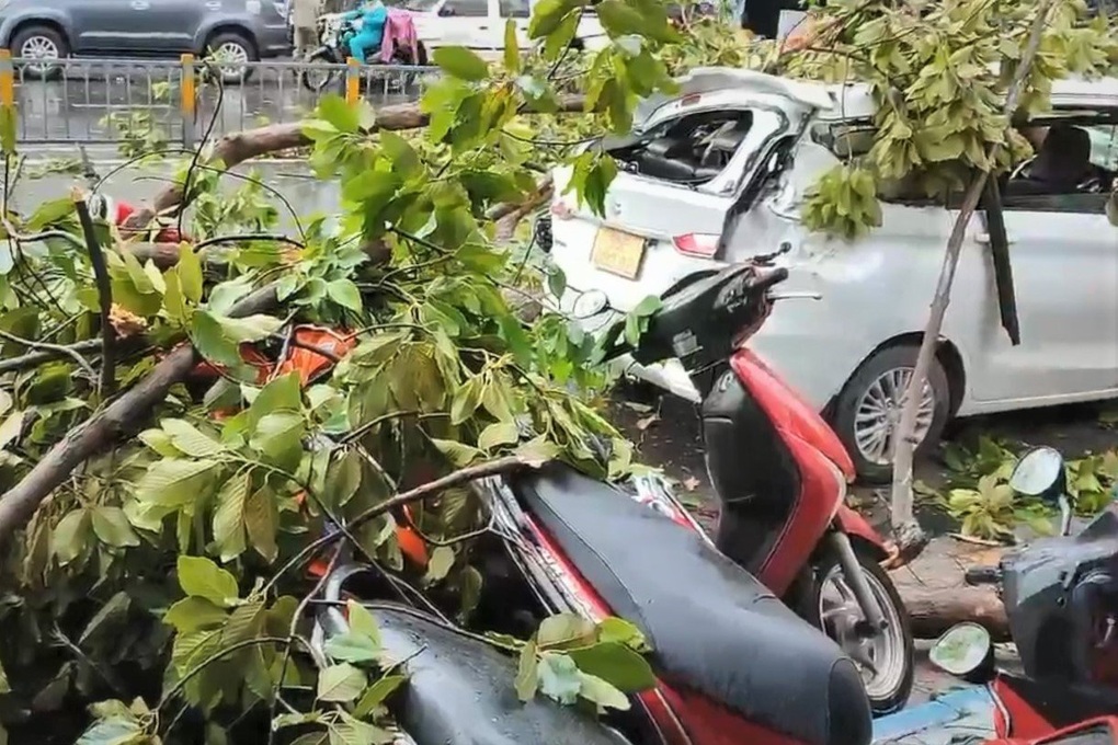 Cành cây rơi xuống đường đè trúng ô tô 7 chỗ và xe máy - 1 Cành cây rơi xuống đường đè trúng ô tô 7 chỗ và xe máy - 1
