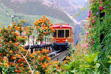 Chuyện chưa kể về những không gian xanh trên núi