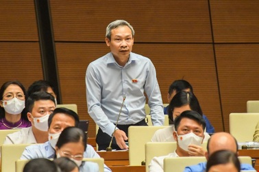 Đại biểu nói về app đăng ký tiêm vắc xin, nêu phương án cách ly F0 tại nhà