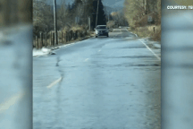 Kỳ lạ: Đàn cá hồi bơi trước mũi ô tô qua tuyến đường ngập nước để kiếm tìm bạn tình