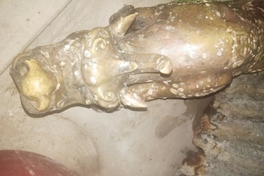 Cà Mau: Xác minh tượng “quái thú 2 đầu” người dân mò được ở cửa biển