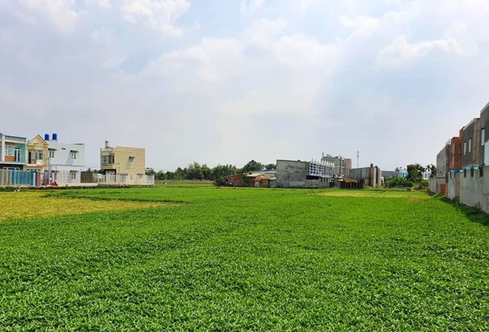 Hàng trăm ha đất cấm bị “xẻ thịt”: Công trình vi phạm 10 năm chưa xử lý! - 3 Hàng trăm ha đất cấm bị “xẻ thịt”: Công trình vi phạm 10 năm chưa xử lý! - 3