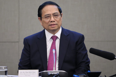 Nghiên cứu mở lại đường bay thẳng Việt Nam - New Zealand