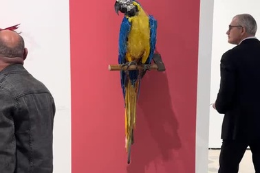 Thán phục trước những tác phẩm nghệ thuật đầy độc đáo