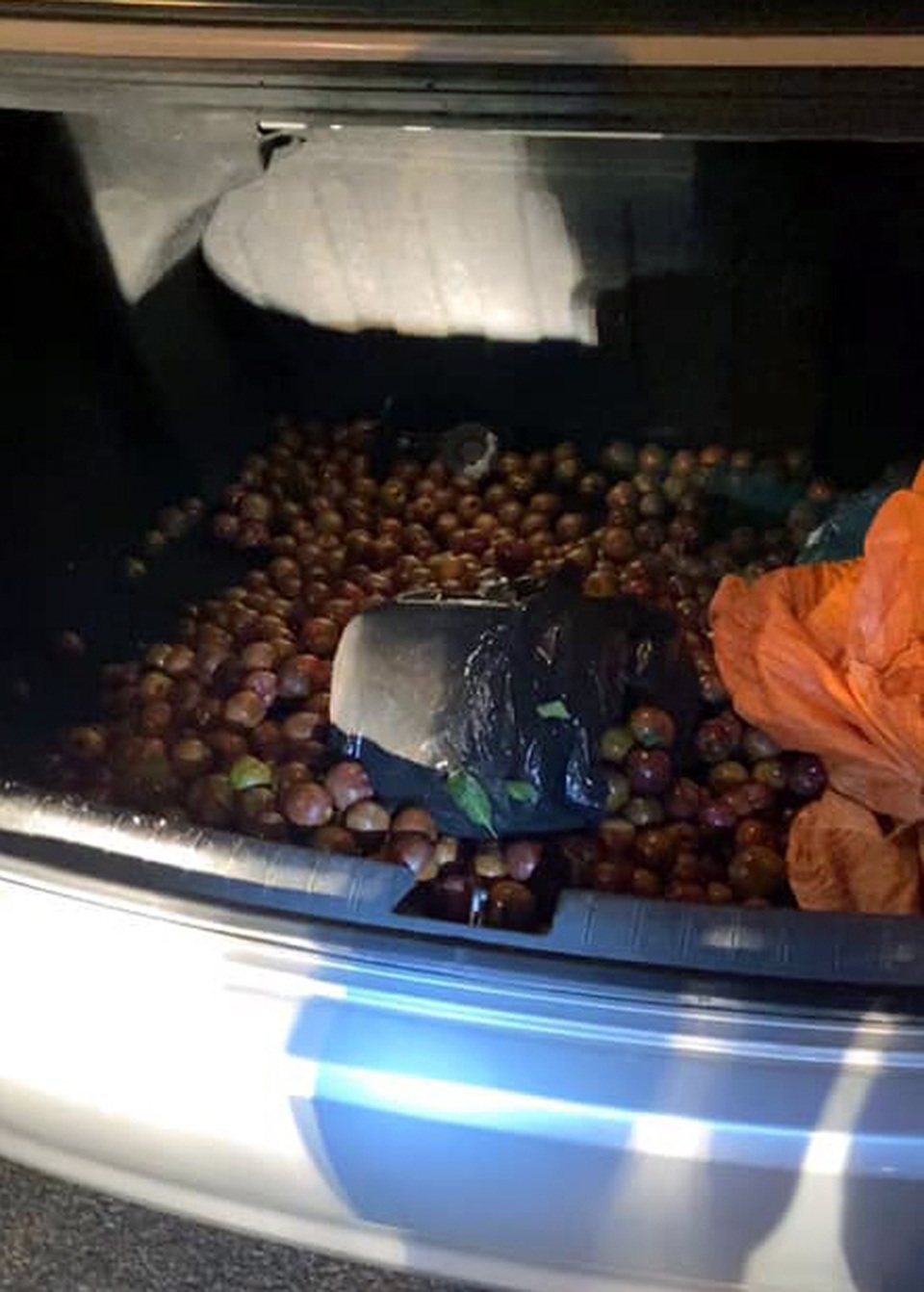 Ngụy trang ma túy trong bao tải mận, vận chuyển từ Sơn La về Hà Nội - 2