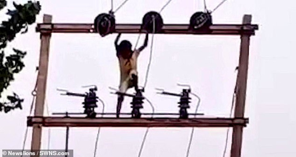 Hết hồn trước cảnh bé trai 5 tuổi trèo lên cột điện cao thế để ngắm cảnh - 3 Hết hồn trước cảnh bé trai 5 tuổi trèo lên cột điện cao thế để ngắm cảnh - 3
