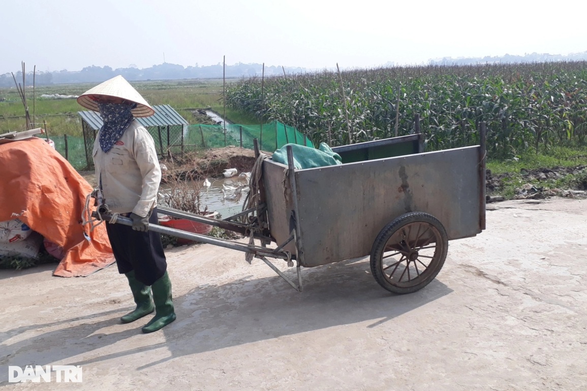 Bố bỏ đi biệt tích, 2 đứa bé mồ côi mẹ lay lắt sống cùng bà ngoại già yếu - 5 Bố bỏ đi biệt tích, 2 đứa bé mồ côi mẹ lay lắt sống cùng bà ngoại già yếu - 5