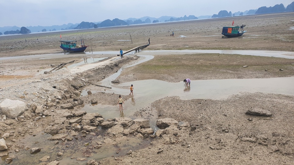 Huyện Vân Đồn lên tiếng vụ doanh nghiệp lấn biển bị phạt 100 triệu đồng - 2 Huyện Vân Đồn lên tiếng vụ doanh nghiệp lấn biển bị phạt 100 triệu đồng - 2