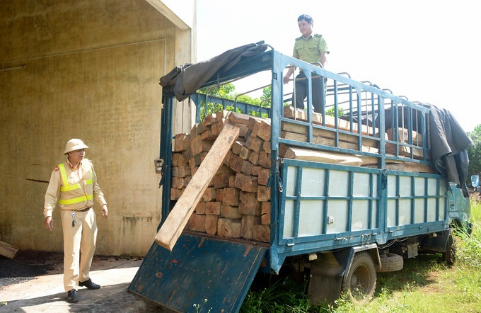 Cảnh sát giao thông liên tục phát hiện gỗ lậu - Ảnh 2.