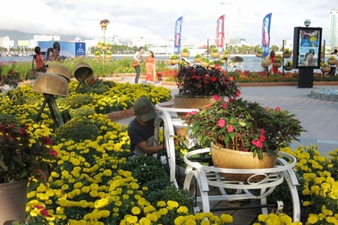 Đà Nẵng lần đầu trình diễn hoa nghệ thuật quốc tế