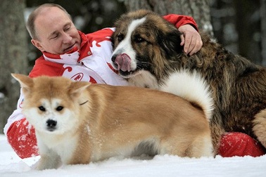 Chó cưng của Tổng thống Putin
