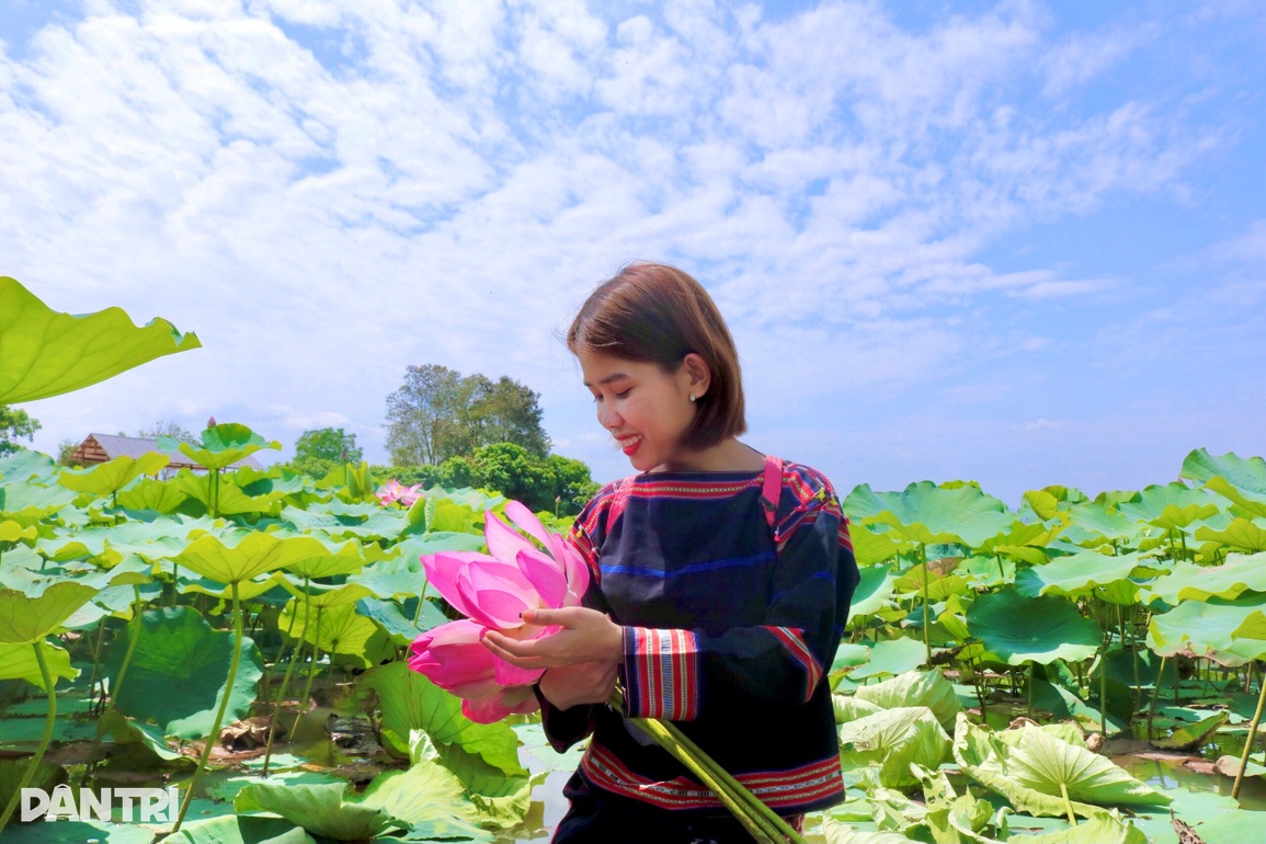 Thiếu nữ Ba Na check-in cánh đồng sen tỏa hương trên cao nguyên - 3 Thiếu nữ Ba Na check-in cánh đồng sen tỏa hương trên cao nguyên - 3