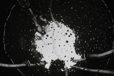 Vẫn chưa có kết luận vụ giếng nước nhiễm dầu diezel