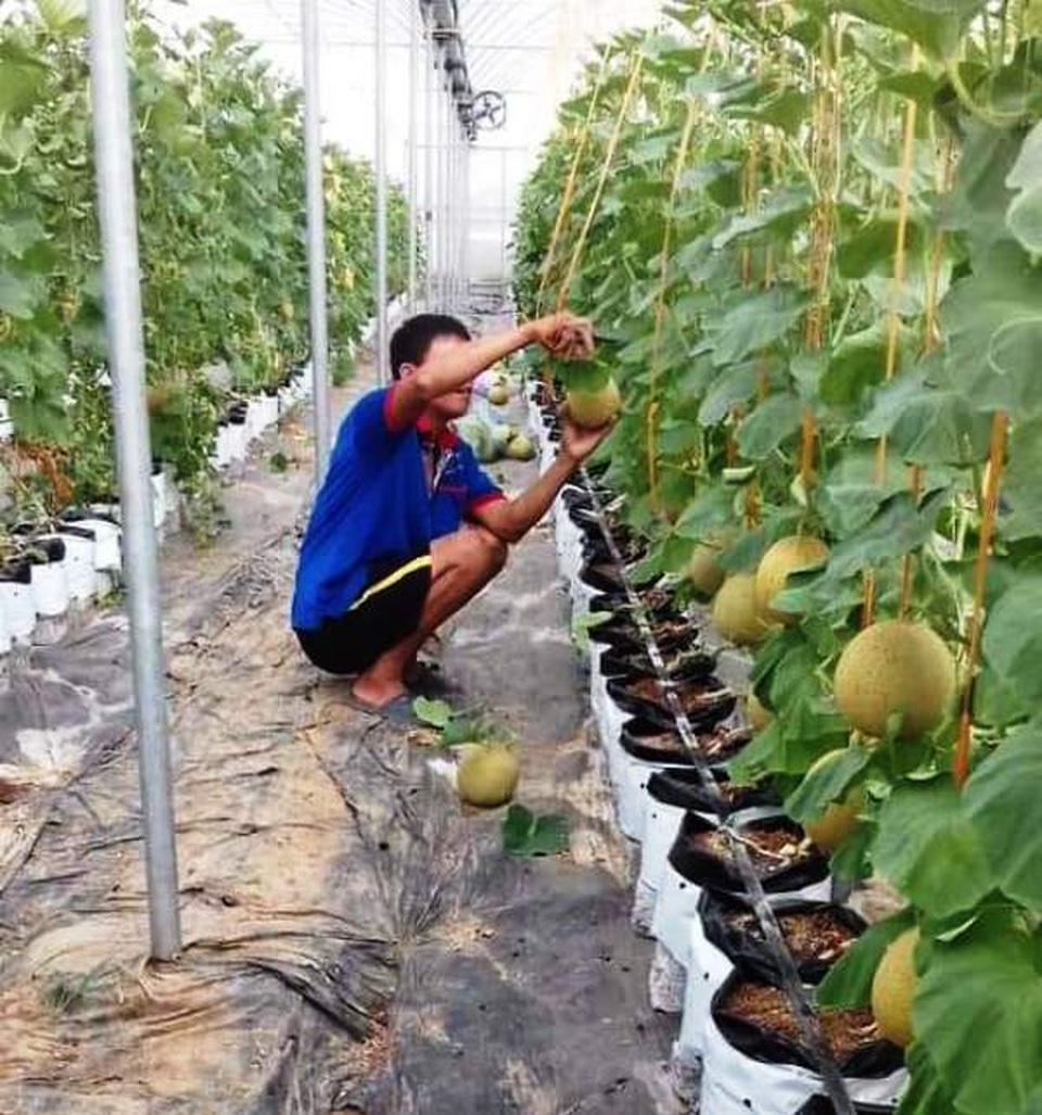 Nghệ An: Tạo việc làm và thu nhập từ đào tạo nghề nông thôn - 2 Nghệ An: Tạo việc làm và thu nhập từ đào tạo nghề nông thôn - 2