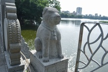 Bí ẩn về ngôi đền thờ "thần chó" giữa trung tâm Hà Nội