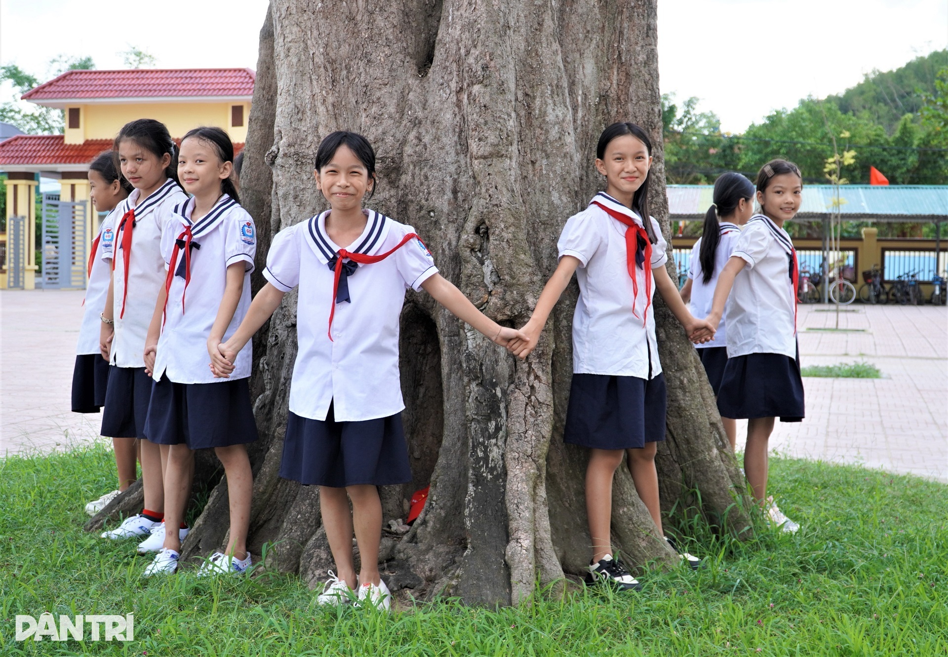 4 cây Kơ nia cổ thụ bí ẩn trong ngôi trường ở Hà Tĩnh - 8 4 cây Kơ nia cổ thụ bí ẩn trong ngôi trường ở Hà Tĩnh - 8