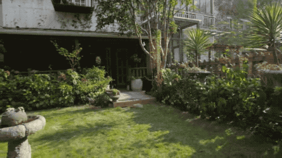 Nghỉ hưu sớm, người phụ nữ về ngoại ô sống an yên bên khu vườn trăm hoa - 5