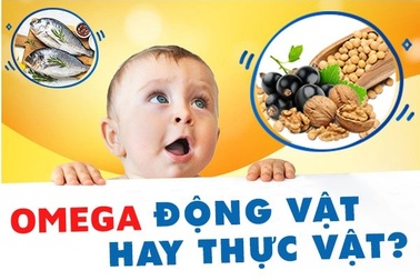Sự thật về Omega thực vật và Omega động vật: Mẹ cần biết