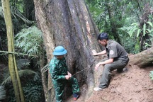 "Chặn dòng" nghỉ việc tại khu vực công