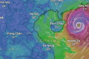 Ứng dụng giúp theo dõi hướng đi của siêu bão Yagi theo thời gian thực