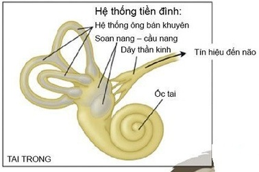 Rối loạn tiền đình... vì thuốc