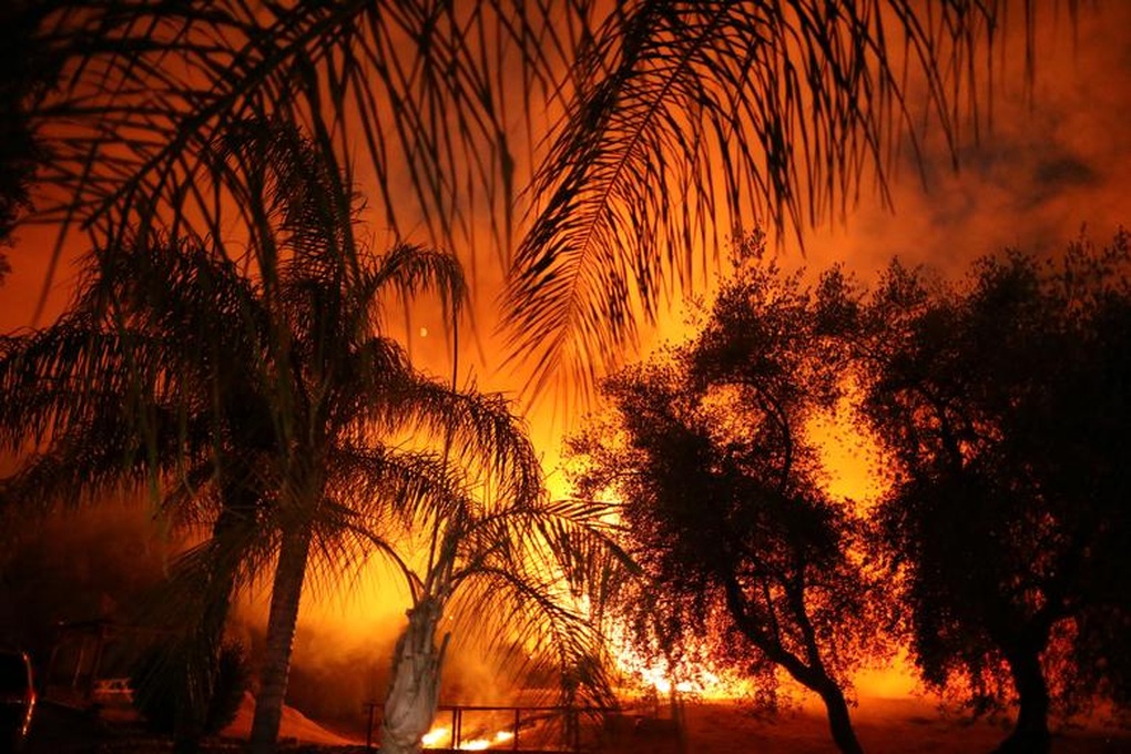 Cháy rừng ở bang California lan nhanh, Mỹ cấp tập đối phó - 2 Cháy rừng ở bang California lan nhanh, Mỹ cấp tập đối phó - 2