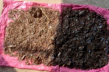 3 kilomet hút được... 17kg đinh