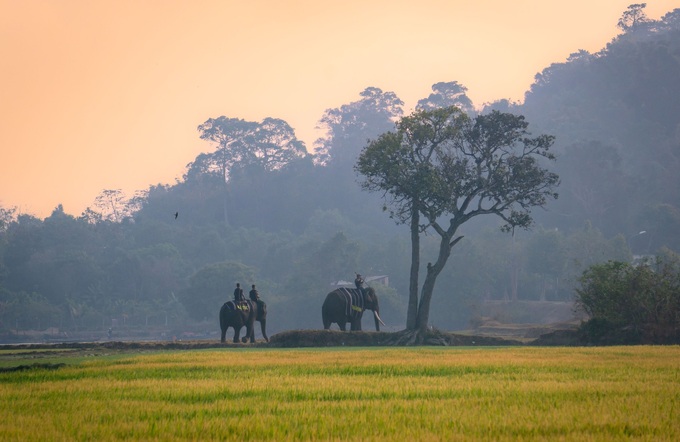 Chàng trai Hà Tĩnh yêu vẻ đẹp Việt Nam, đoạt giải nhất cuộc thi ảnh quốc tế - 7 Chàng trai Hà Tĩnh yêu vẻ đẹp Việt Nam, đoạt giải nhất cuộc thi ảnh quốc tế - 7