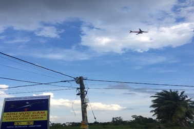 Chim bồ câu, chó "lọt" vào sân bay uy hiếp an toàn hàng không