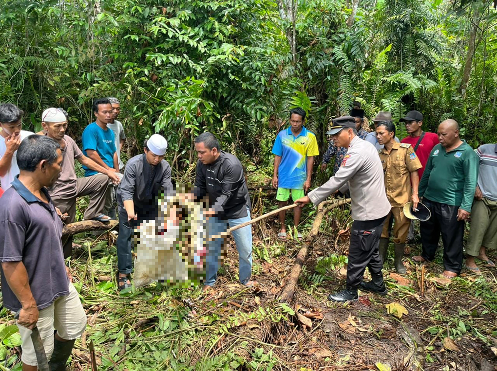 Trăn dài gần 7m nuốt chửng người phụ nữ Indonesia - 1 Trăn dài gần 7m nuốt chửng người phụ nữ Indonesia - 1